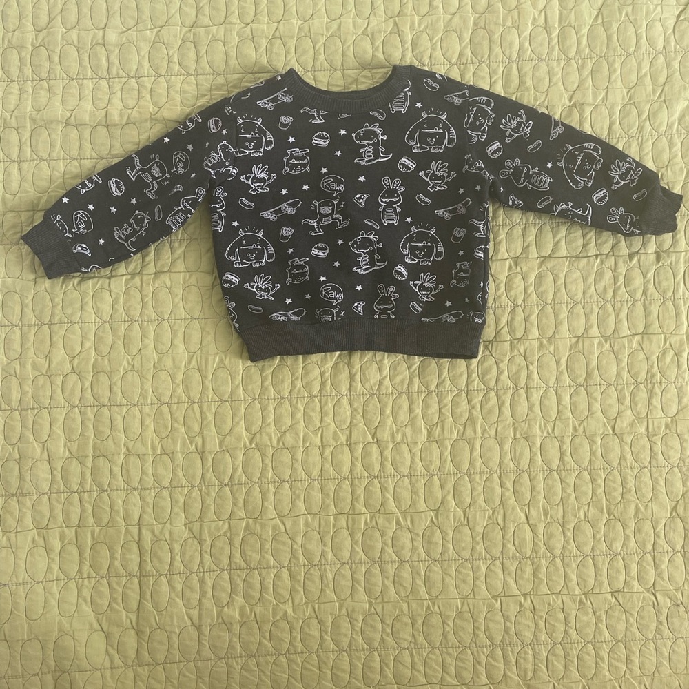 💙Alex & Jack Boys Pullover Sweatshirt size 2T